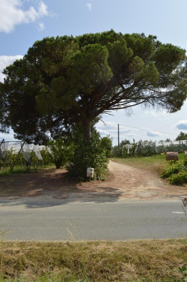 Gite Rural De Caractere Guerin Exterior photo